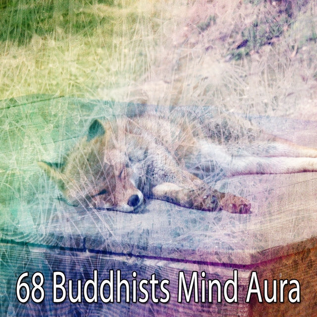 Couverture de 68 Buddhists Mind Aura