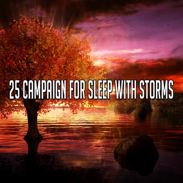 25 Campaign for Sleep with Storms