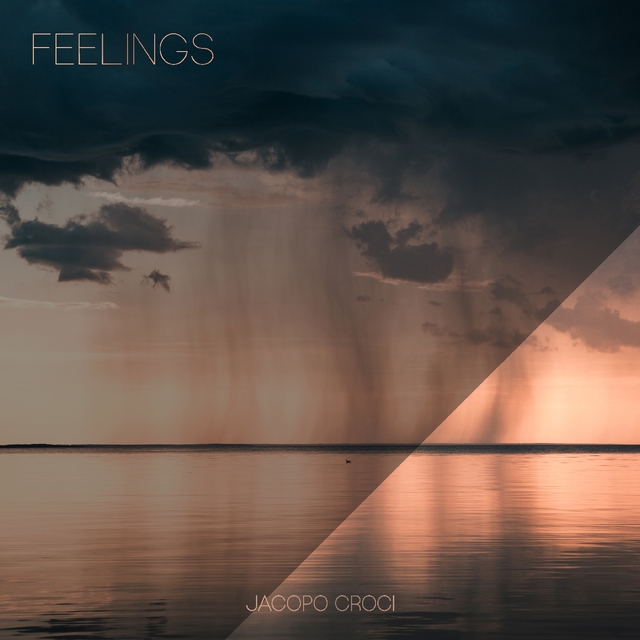 Couverture de Feelings