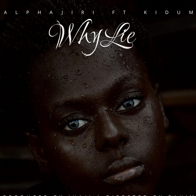 Couverture de Why Lie