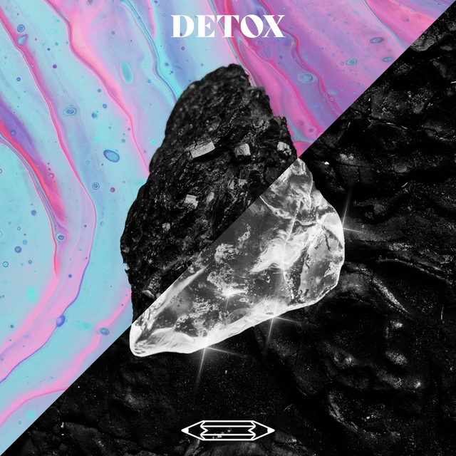 Couverture de Detox