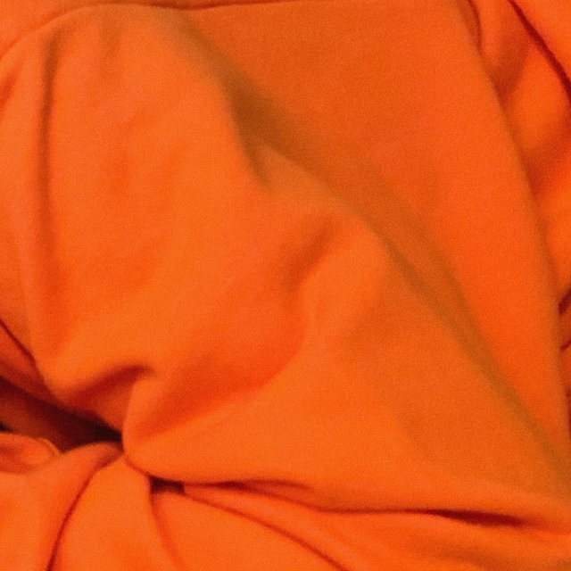 Couverture de Orange Hoodie