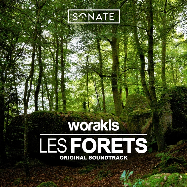 Couverture de Les forêts