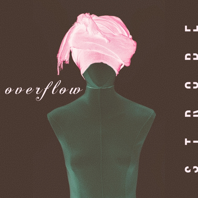 Couverture de Overflow