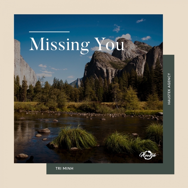 Couverture de Missing You