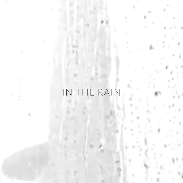 Couverture de In the rain