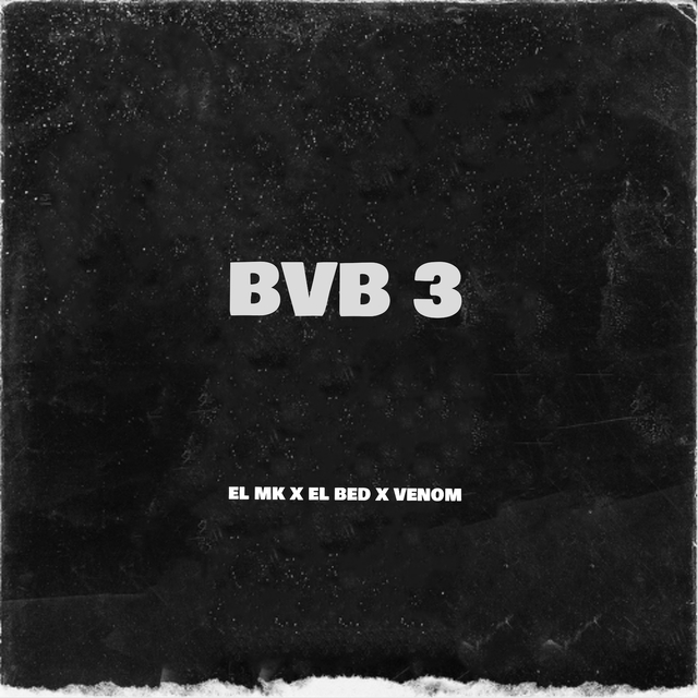 Couverture de BVB 3