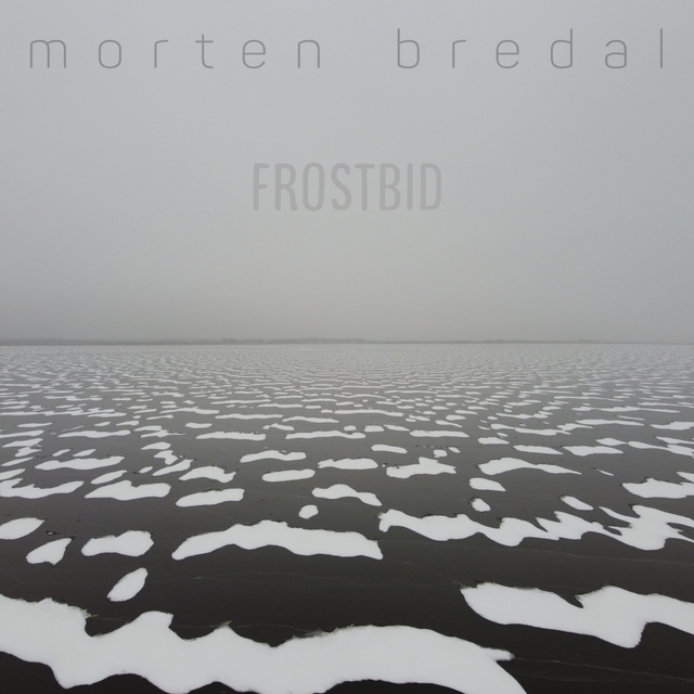 Couverture de Frostbid