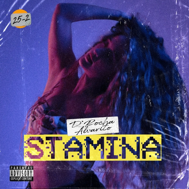 Couverture de Stamina