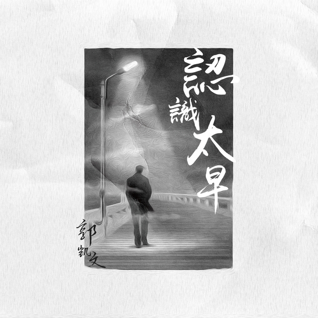 Couverture de 认识太早