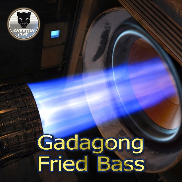 Couverture de Fried Bass