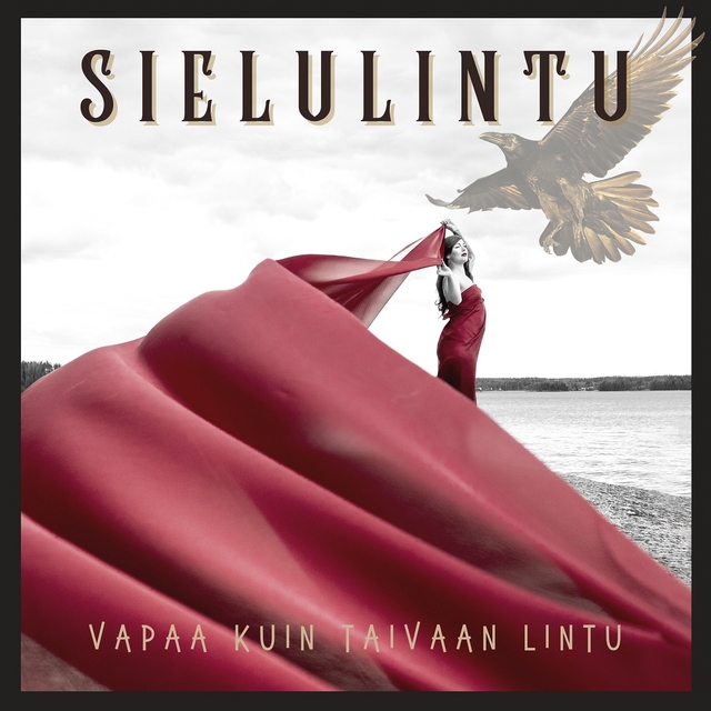 Vapaa kuin taivaan lintu