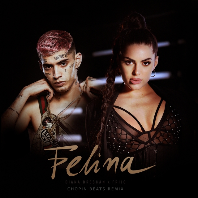 Couverture de Felina