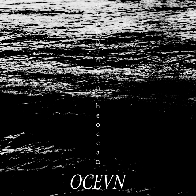 Couverture de Drowning in the Ocean