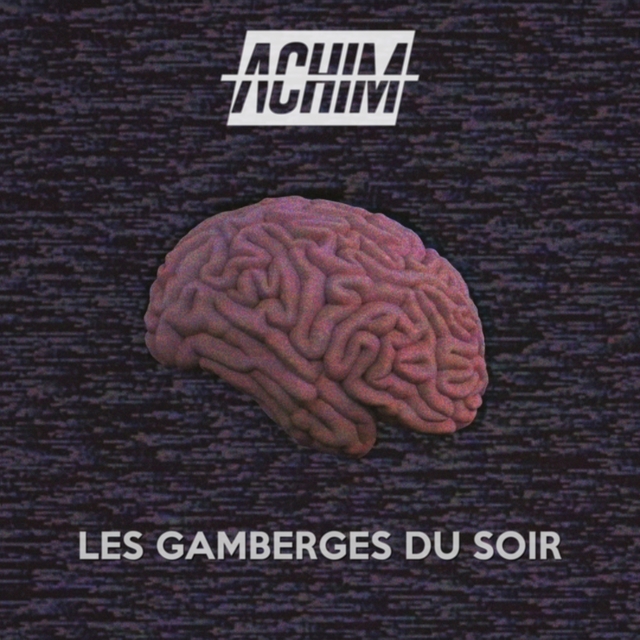 Couverture de Les gamberges du soir