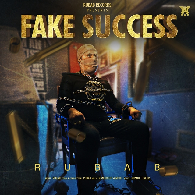 Couverture de Fake Success