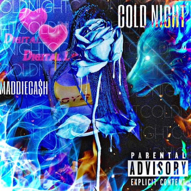 Couverture de Cold Night