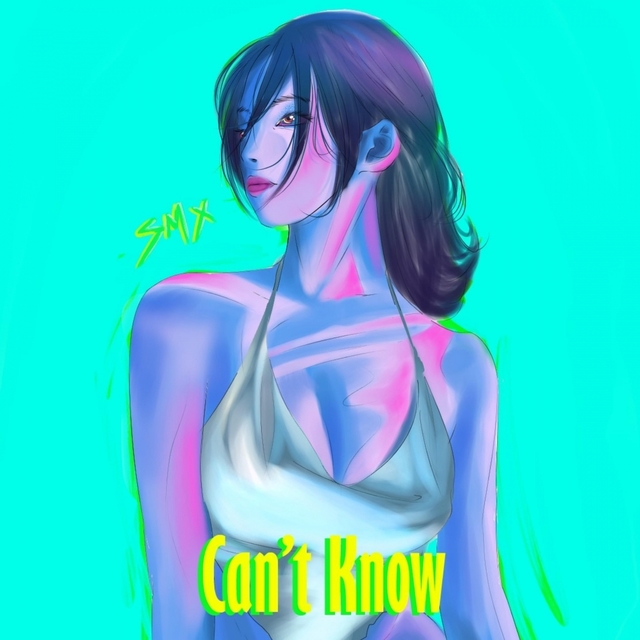 Couverture de Can't Know