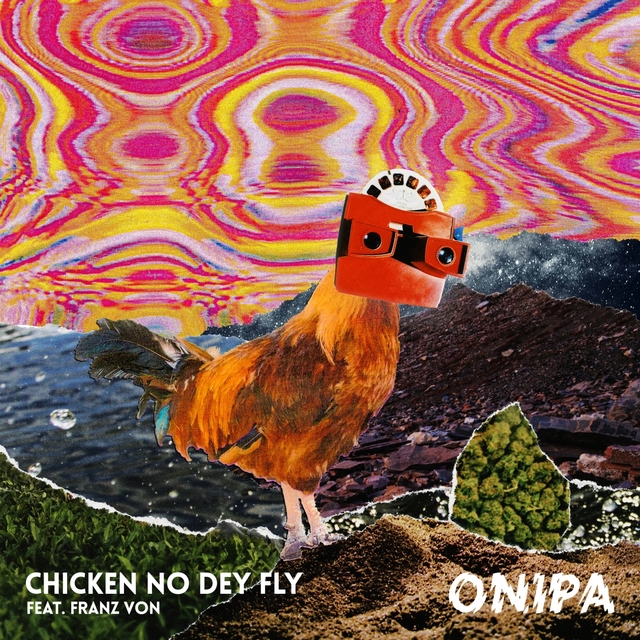 Couverture de Chicken No Dey Fly