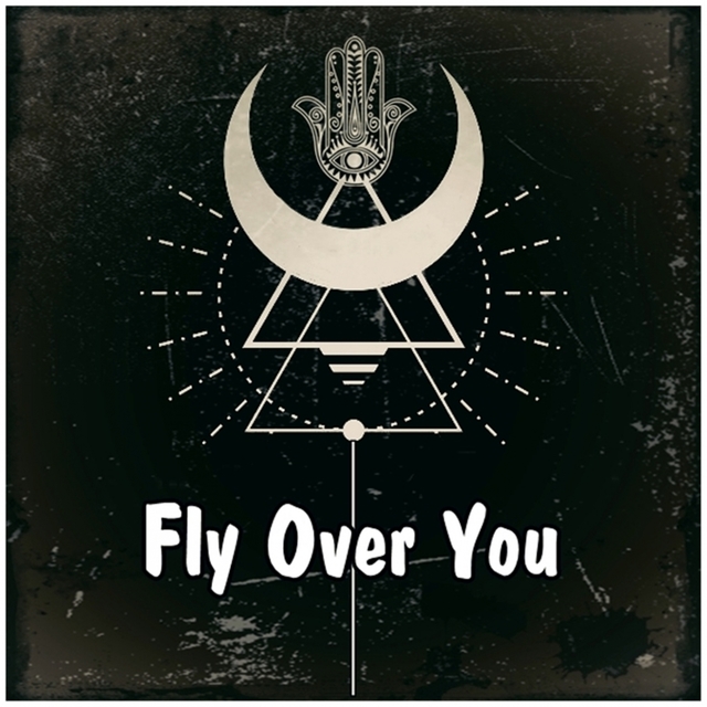 Couverture de Fly over You