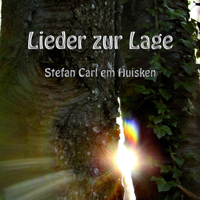 Couverture de Lieder zur Lage