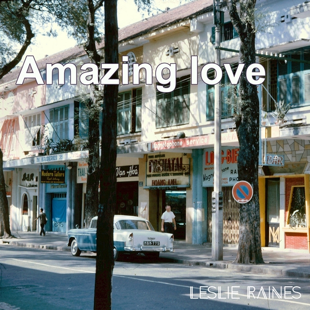 Couverture de Amazing Love