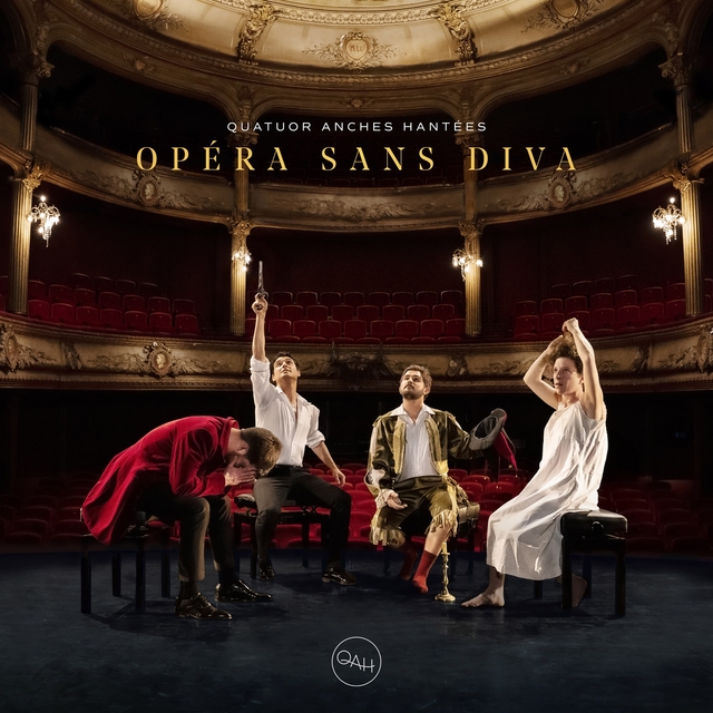 Couverture de Opéra sans Diva