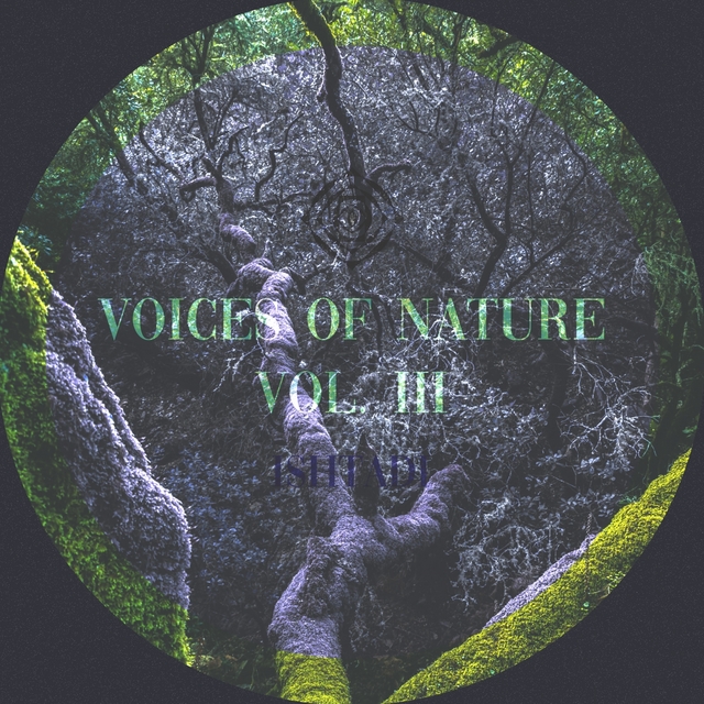 Couverture de Voices of Nature, Vol. III