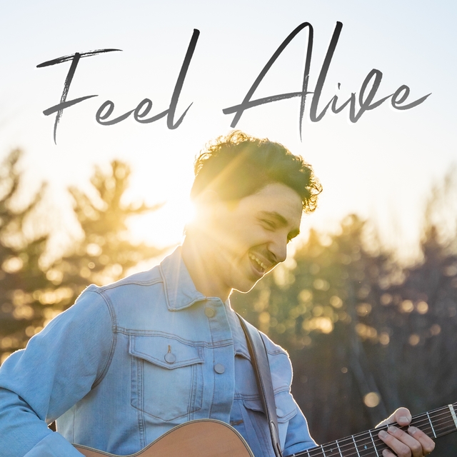 Couverture de Feel Alive