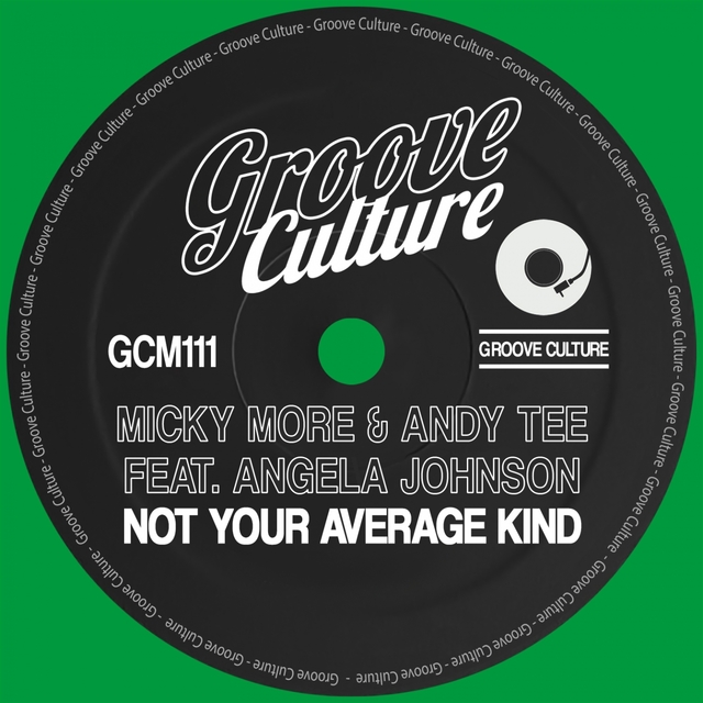 Couverture de Not Your Average Kind