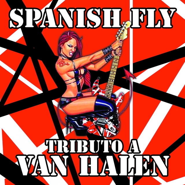 Couverture de Tributo a Van Halen