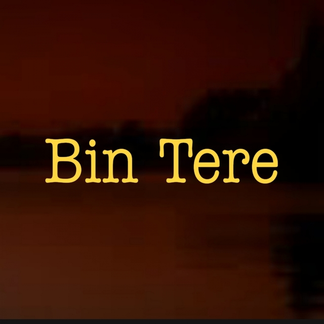 Couverture de Bin Tere