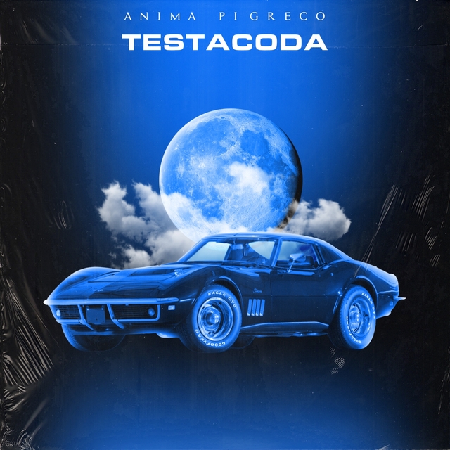 Couverture de Testacoda