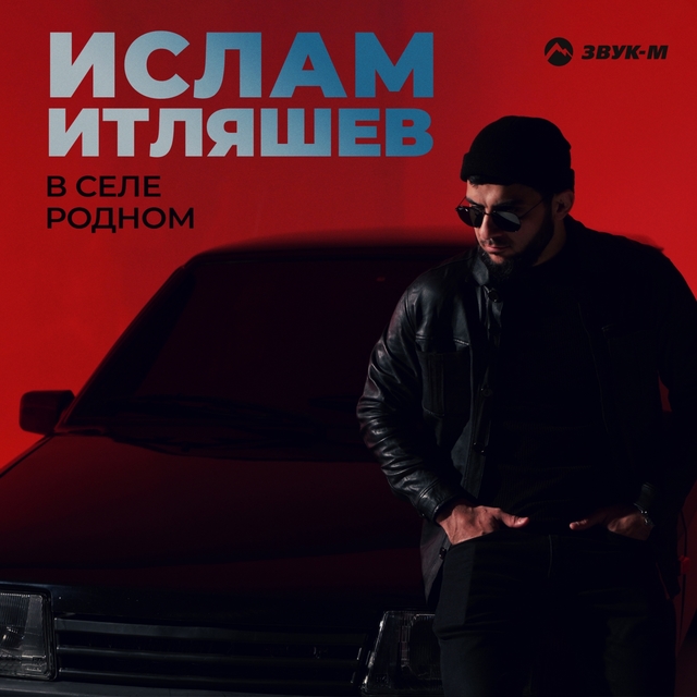 Couverture de В селе родном