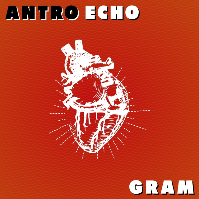 Couverture de Antro Echo