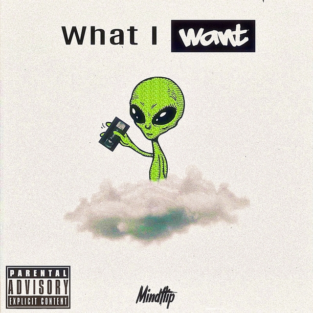 Couverture de What I Want