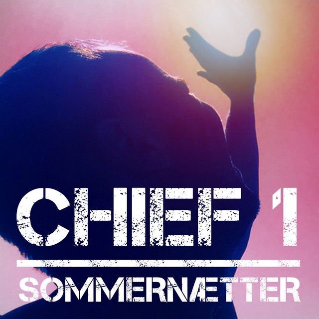 Couverture de Sommernætter