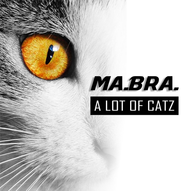 Couverture de A Lot of Catz