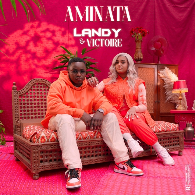 Couverture de Aminata