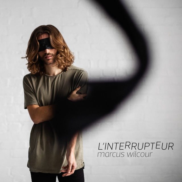 Couverture de L'interrupteur