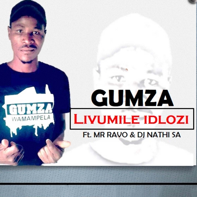 Couverture de Livumile Idlozi