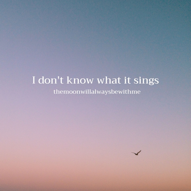 Couverture de I don't know what it sings