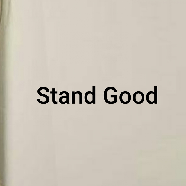 Couverture de Stand Good