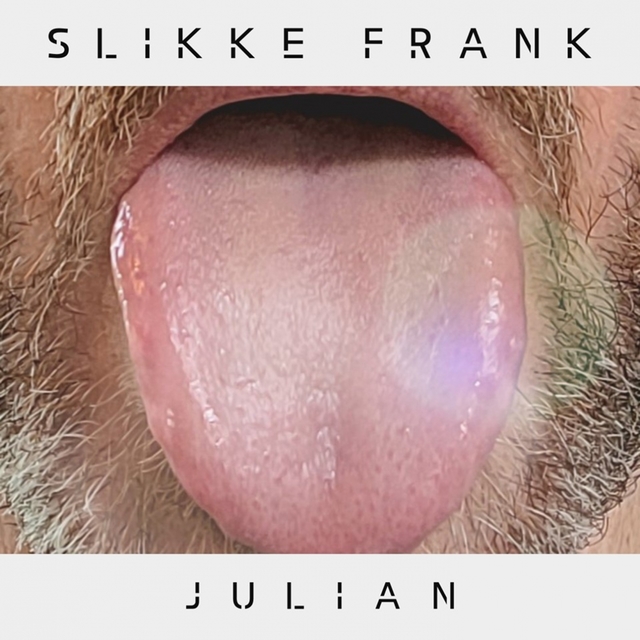 Couverture de Slikke Frank