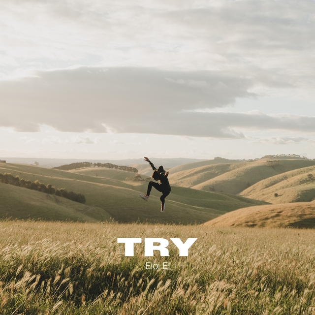 Couverture de Try