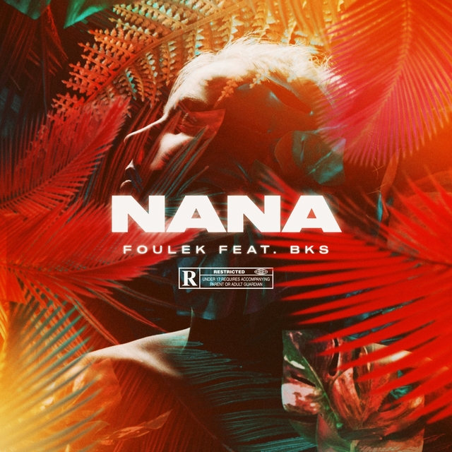 Couverture de Nana