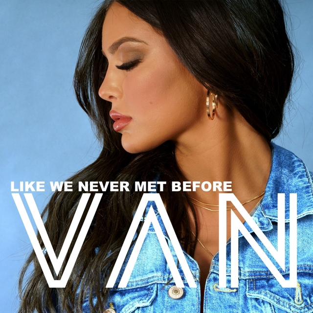 Couverture de Like We Never Met Before