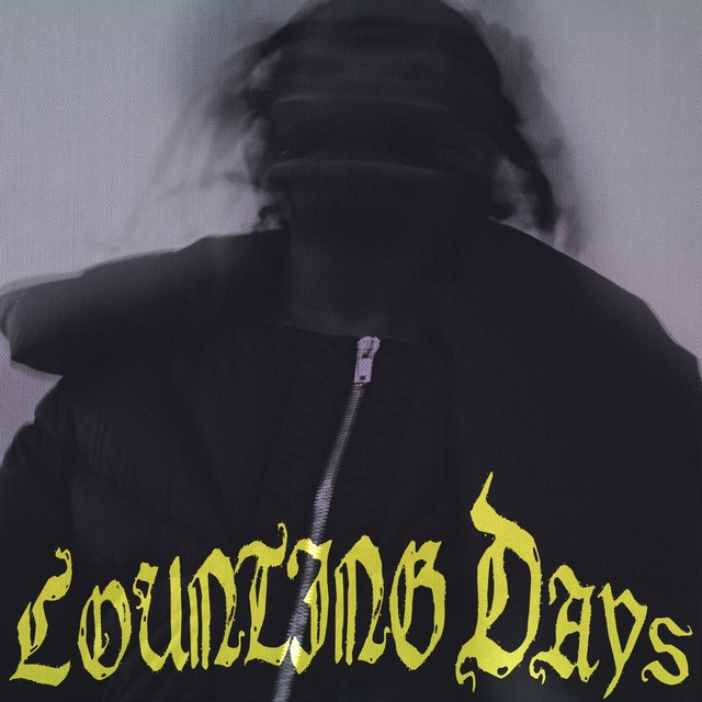 Couverture de Counting Days