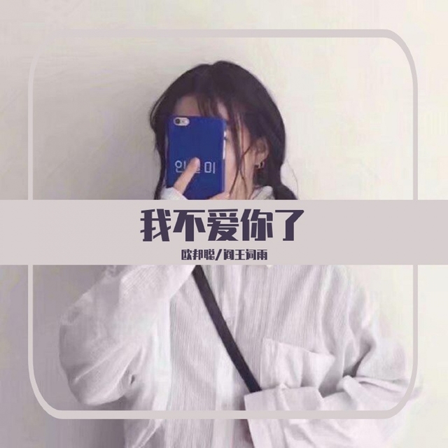 Couverture de 我不爱你了