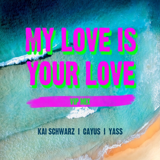 Couverture de My Love Is Your Love